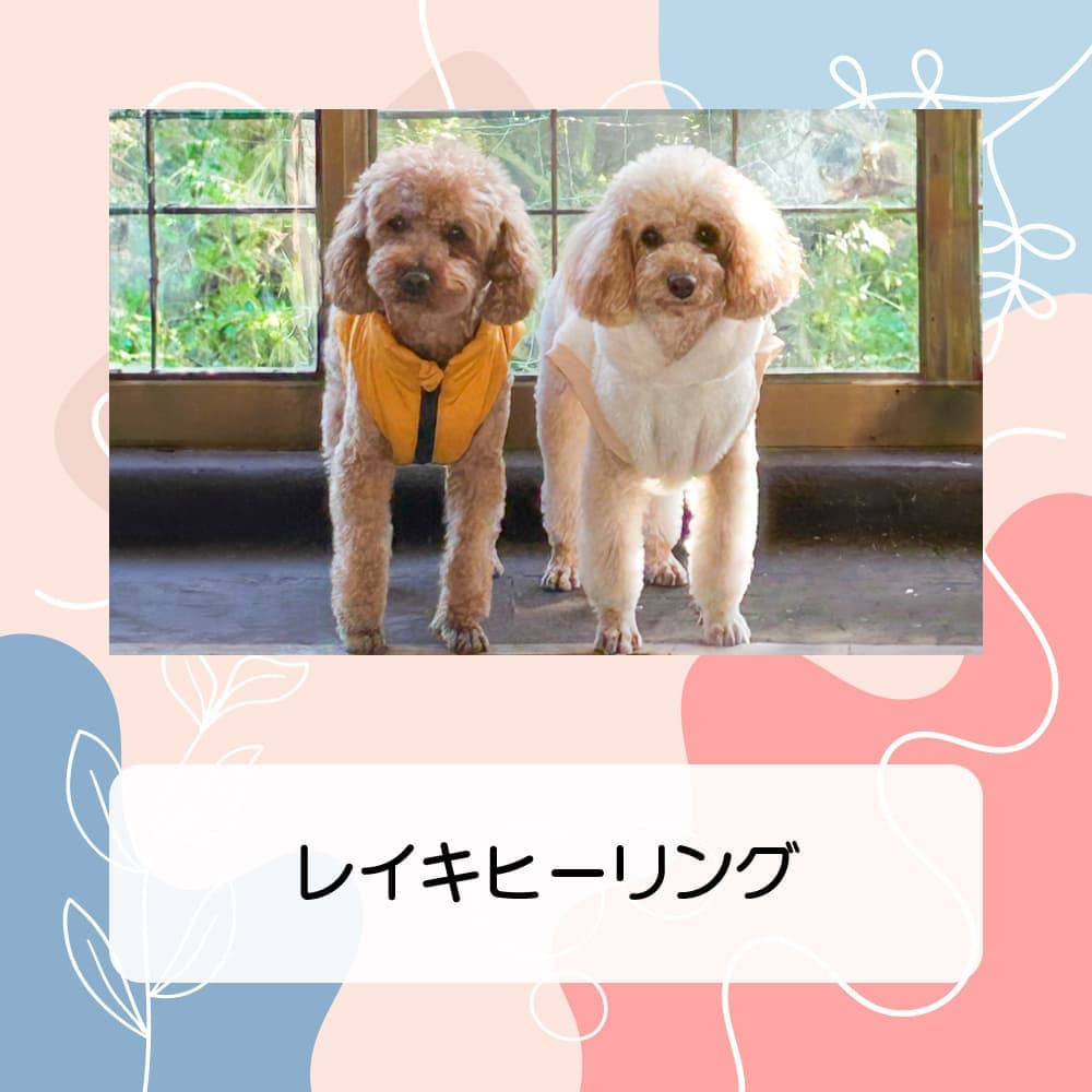 レイキヒーリング
