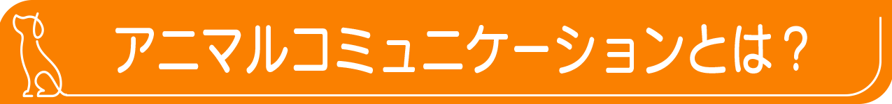 アニマルコミュニケーションとは?