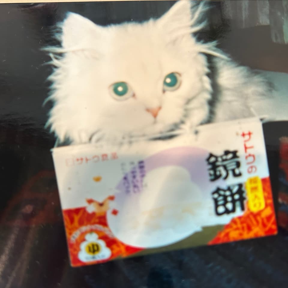 東京都 ウランちゃん
