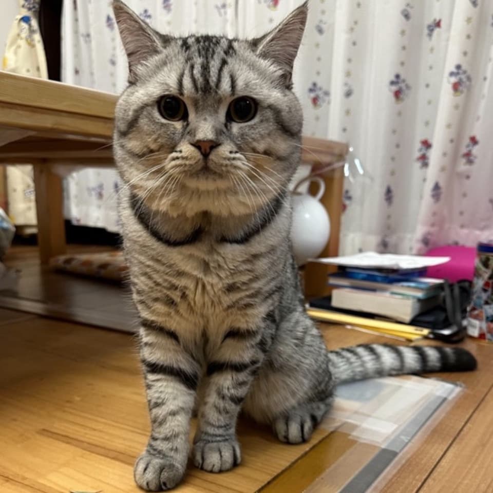 静岡県 雷くん